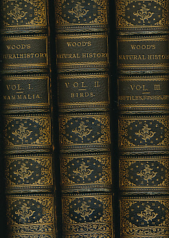 The Illustrated Natural History. 3 Volumes. Volume I: Mammalia. Volume II: Birds. Volume III: Reptiles, Fishes, Molluscs Etc.