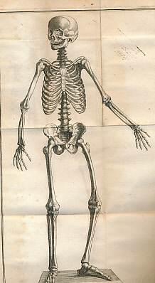 Description Abregée des Os [bound with] Histoire Exacte des Os, ou Description Complette de L'Osteologie. 2 volumes in one.