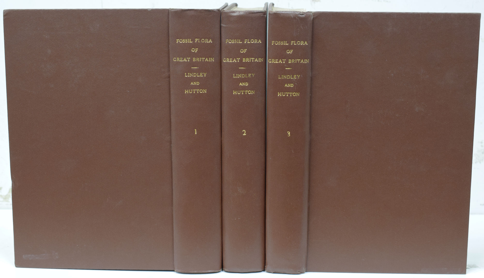 The Fossil Flora of Great Britain; or Figures and Descriptions of the Vegetable Remains Found in a Fossil State in This Country. 3 volumes.