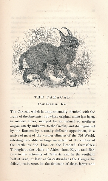 The Tower Menagerie: Comprising the Natural History of the Animals Contained in that Establishment; With Anecdotes of their Characters and History.