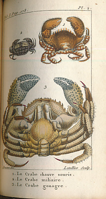 Histoire Naturelle des Crustacs Contenant Leur Description et Leurs Moeurs; Avec Figures Dessines D'Aprs Nature. 2 volumes.
