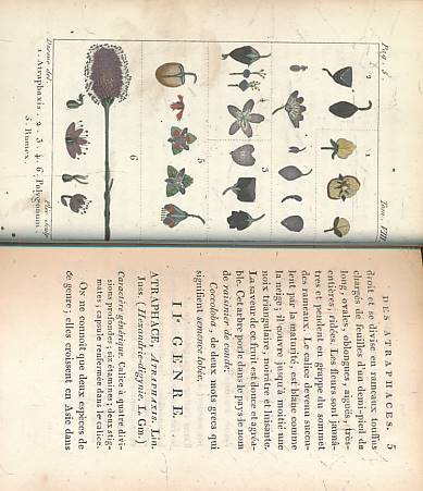 Histoire Naturelle Des Vgtaux, Classs Par Familles. Volume VIII.