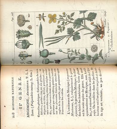 LARARCK, J B; MIRBEL, B;  DESERVE, J E [ILLUS.] - Histoire Naturelle Des Vegetaux, Classes par Familles. Volume XI