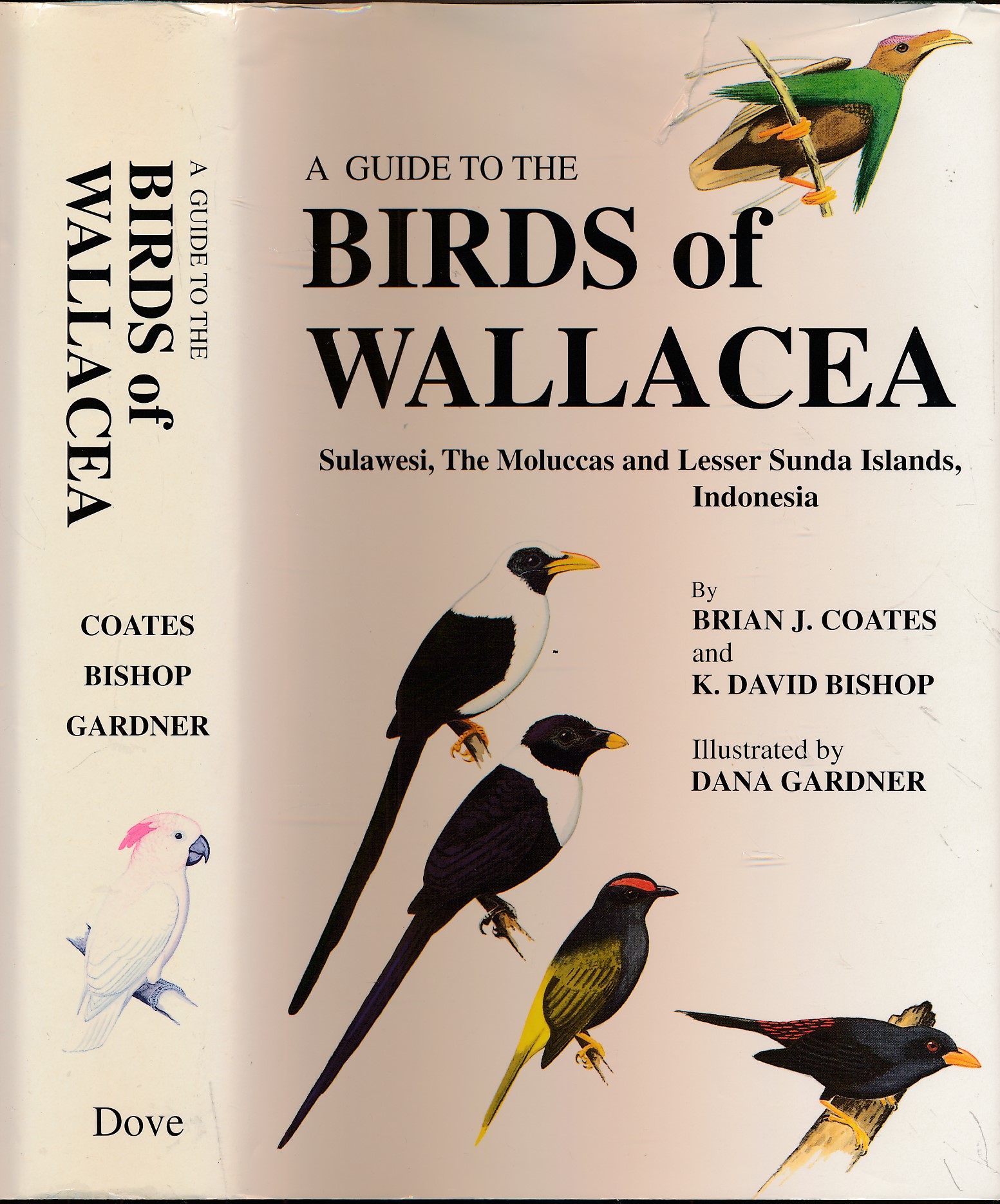 A Guide to the Birds of Wallacea, Sulawesi, The Moluccas and Lesser Sunda Islands, Indonesia.