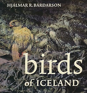 Birds of Iceland