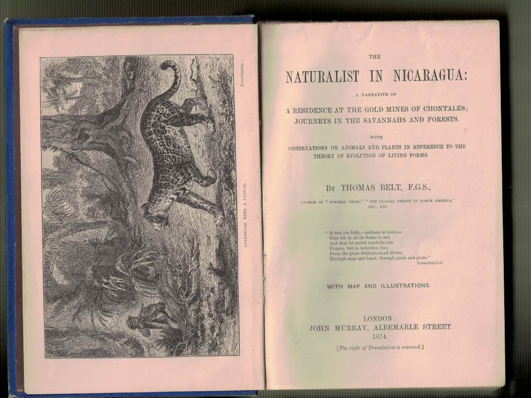 The Naturalist in Nicaragua: A narrative of A Residence at the Gold Mines of Chontales; Journeys in the Savannahs and Forests. With Observations on Animals and Plants in Reference to the Theory of Evolution of Living Forms