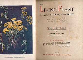 The Living Plant in Leaf, Flower, and Fruit