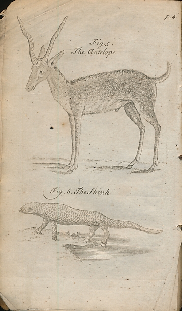 [BOREMAN, THOMAS] - [a Description of Three Hundred Animals] [Second Collection of Animals and Vegetables, with a Supplemental Part of Curious and Uncommon Creatures]