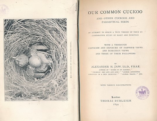 Our Common Cuckoo, and Other Cuckoos and Parasitical Birds.