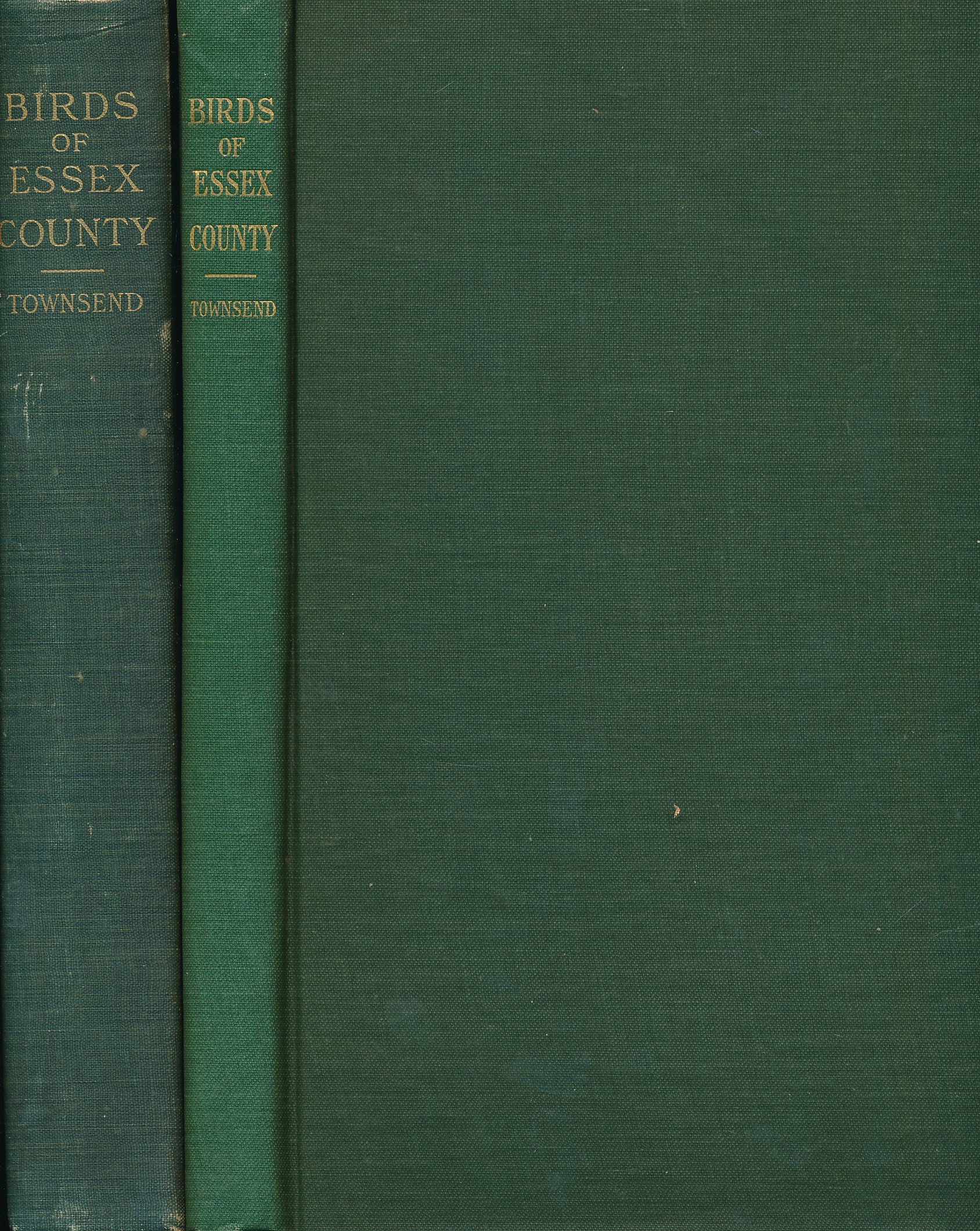 The Birds of Essex County, Massachusetts [with] Supplement  to The Birds of Essex County Massachusetts. 2 vol set.