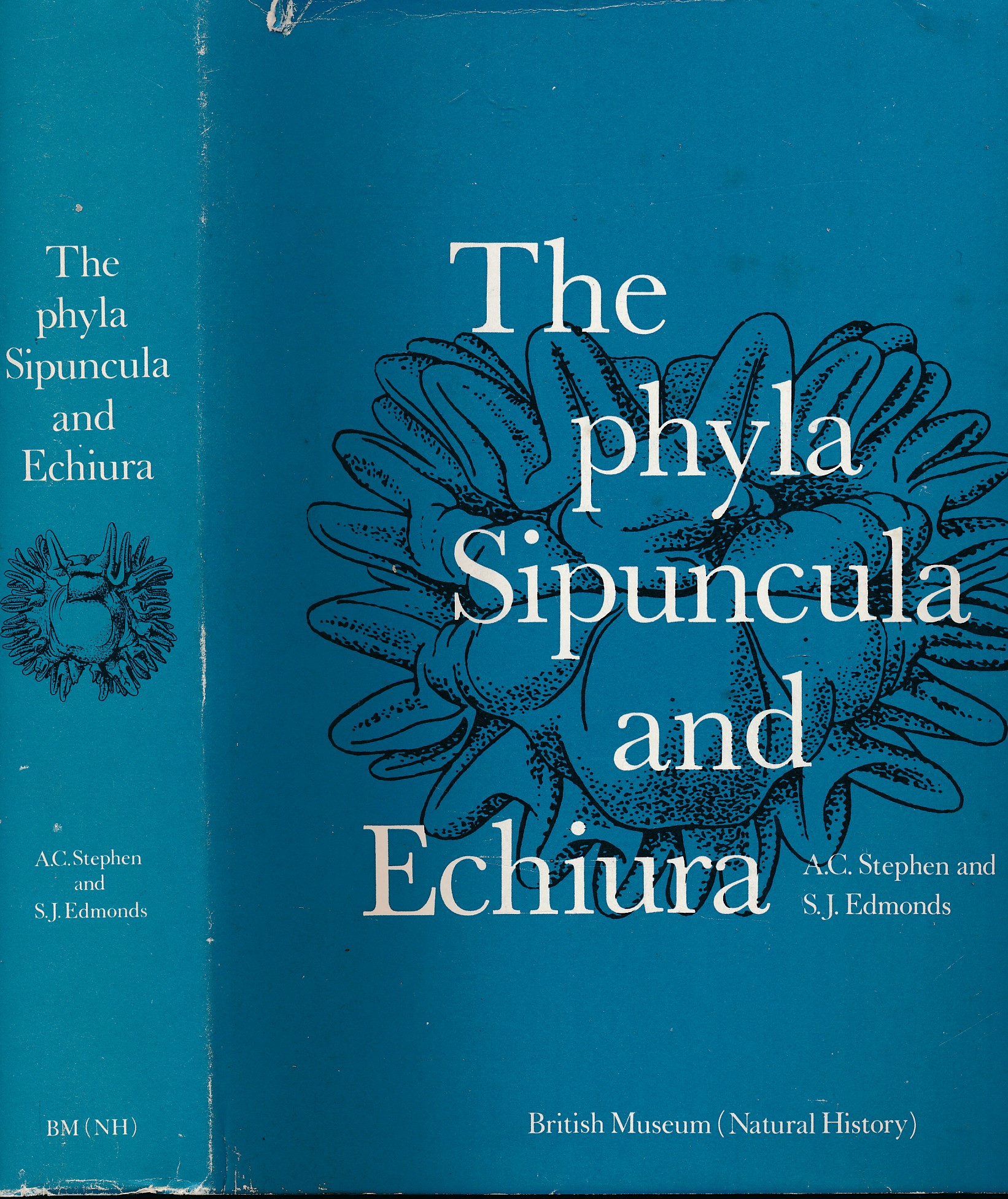 The Phyla Sipuncula and Echiura