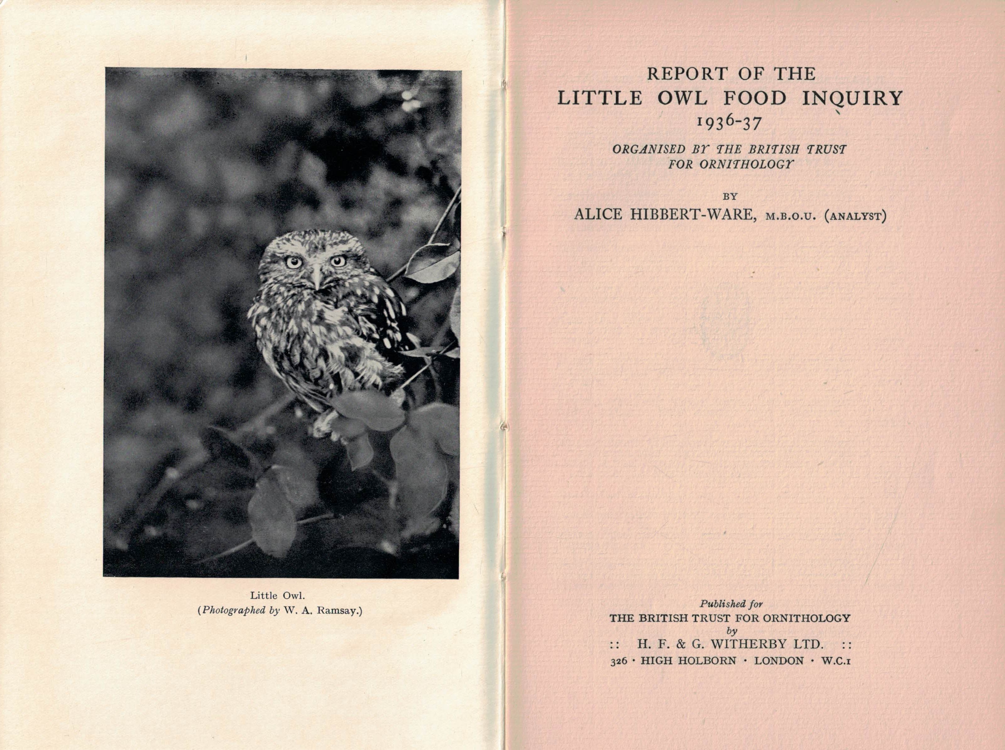 Report of the Little Owl Food Inquiry 1936-37. Organised by The British Trust for Ornithology.
