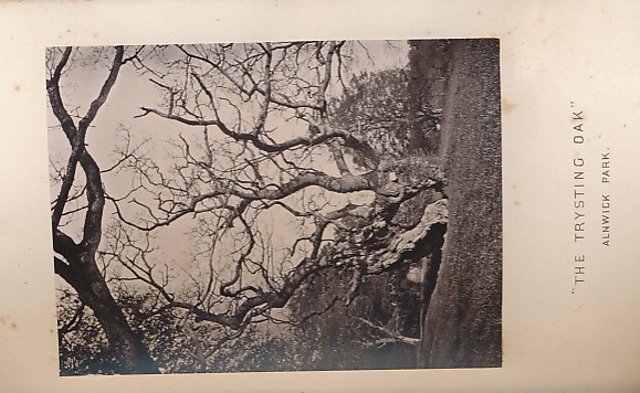 An Illustrated Catalogue of the Remarkable Trees of Northumberland and Durham