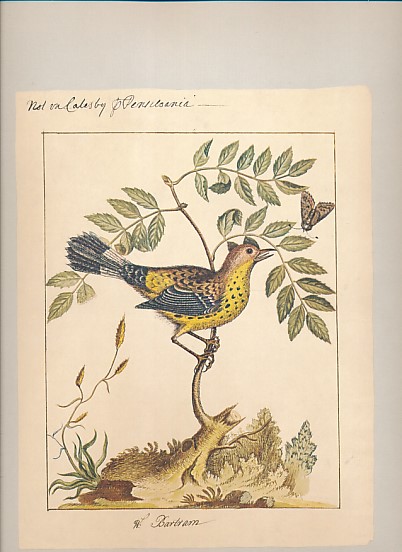 William Bartram. Botanical and Zoological Drawings, 1756-1788