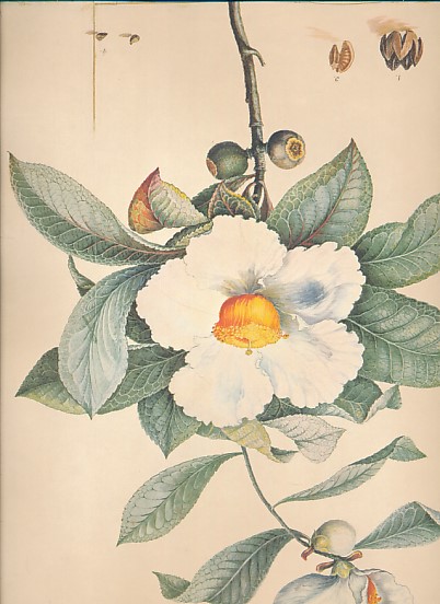 William Bartram. Botanical and Zoological Drawings, 1756-1788
