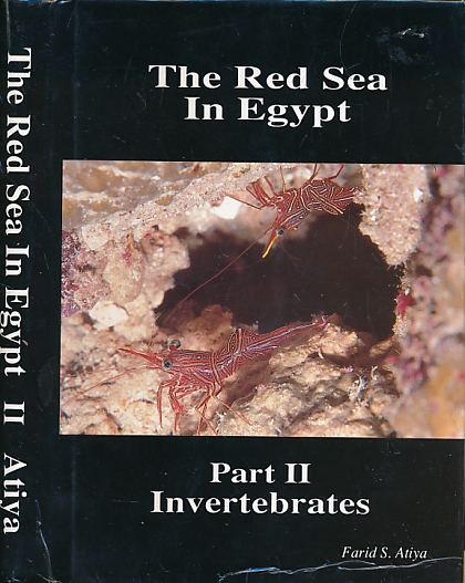 The Red Sea in Egypt: Part II, Invertebrates.