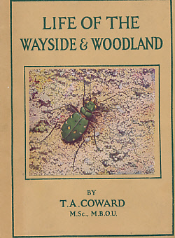 Life of the Wayside and Woodland. When, Where, and What to Collect.