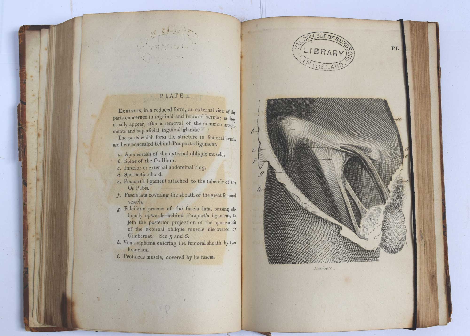 Practical Observations in Surgery Illustrated by Cases.
