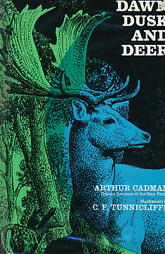 Dawn Dusk and Deer