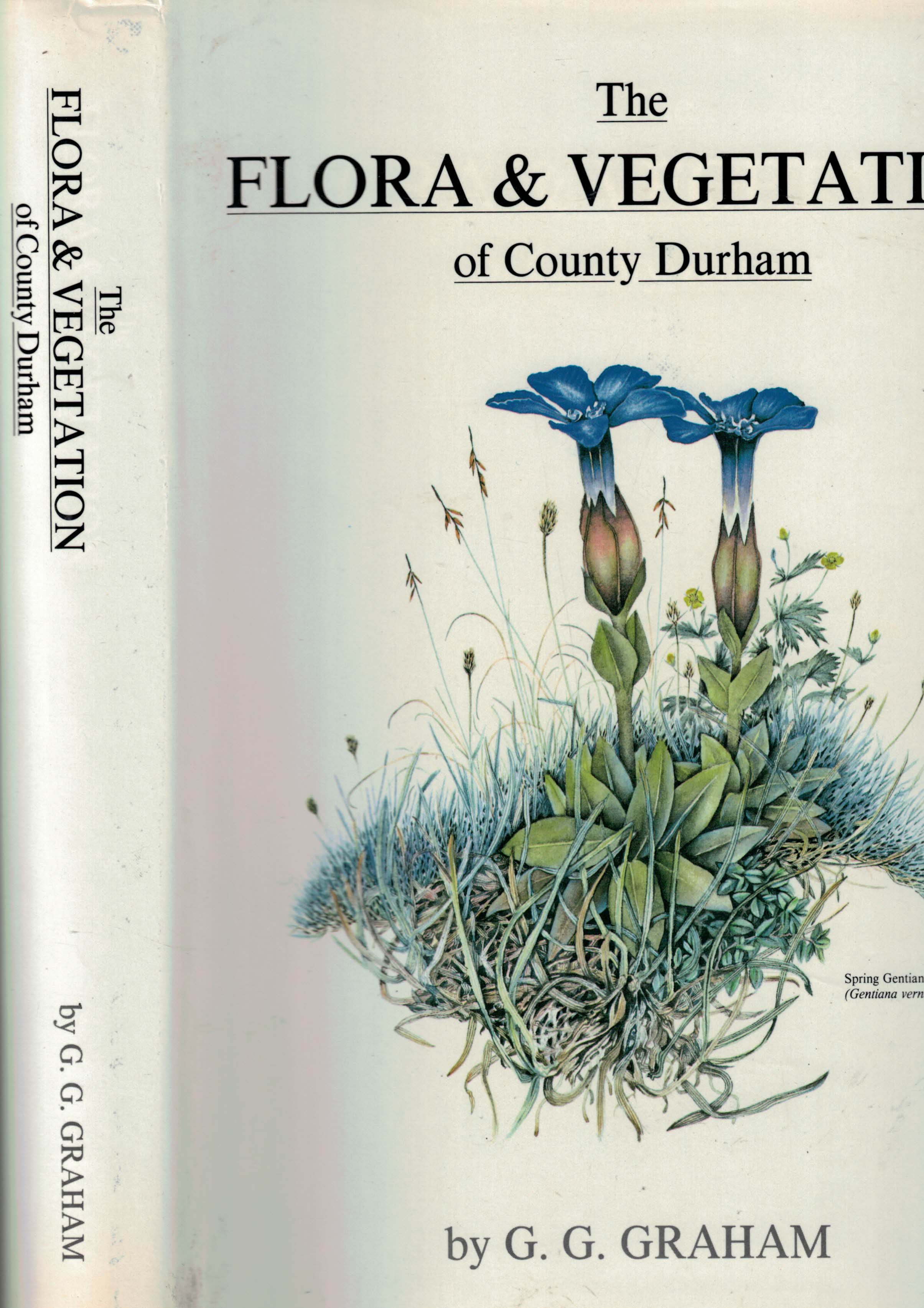The Flora and Vegetation of County Durham