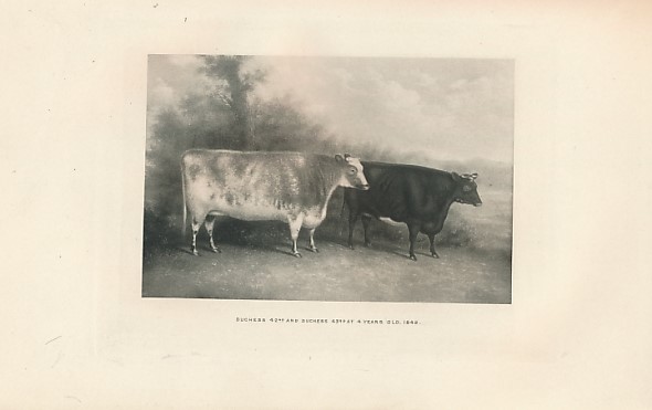 Thomas Bates and the Kirklevington Shorthorns. A Contribution to the History of Pure Durham Cattle