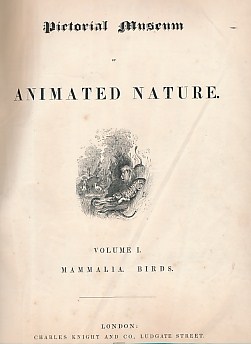 The Pictorial Museum of Animated Nature. 2 volume set. Volume I: Mammalia. Birds. Volume II: Birds. Reptiles. Mollusca. Insects.