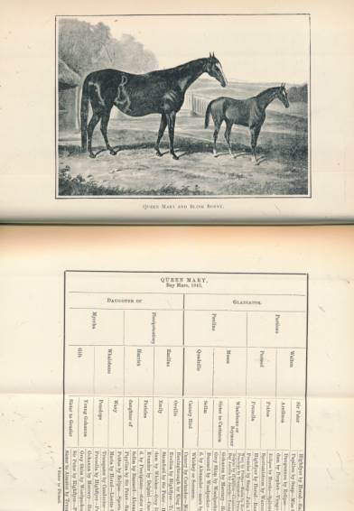 In the North Countree: Annals and Anecdotes of Horse, Hound and Herd.