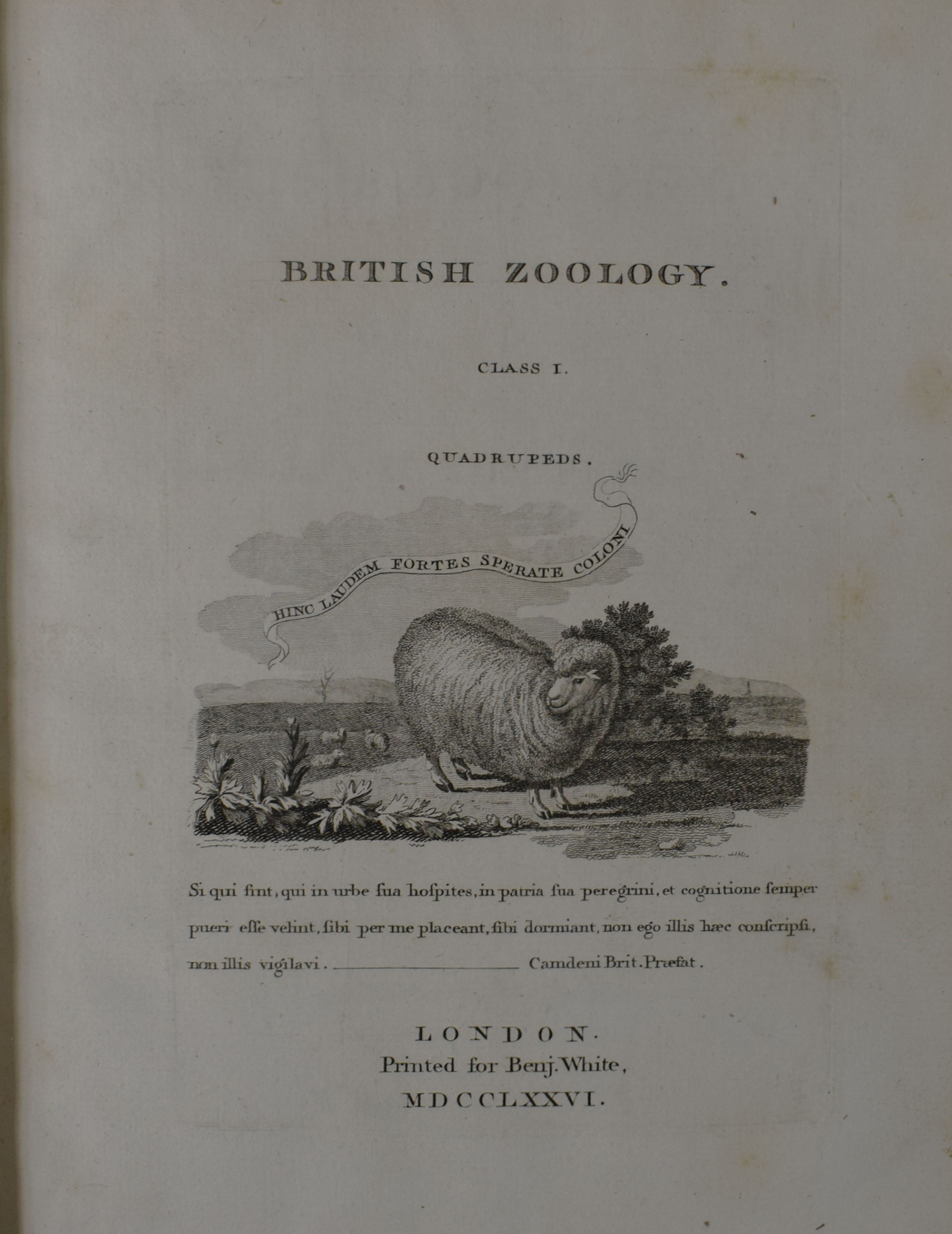 British Zoology. 4 volume set.