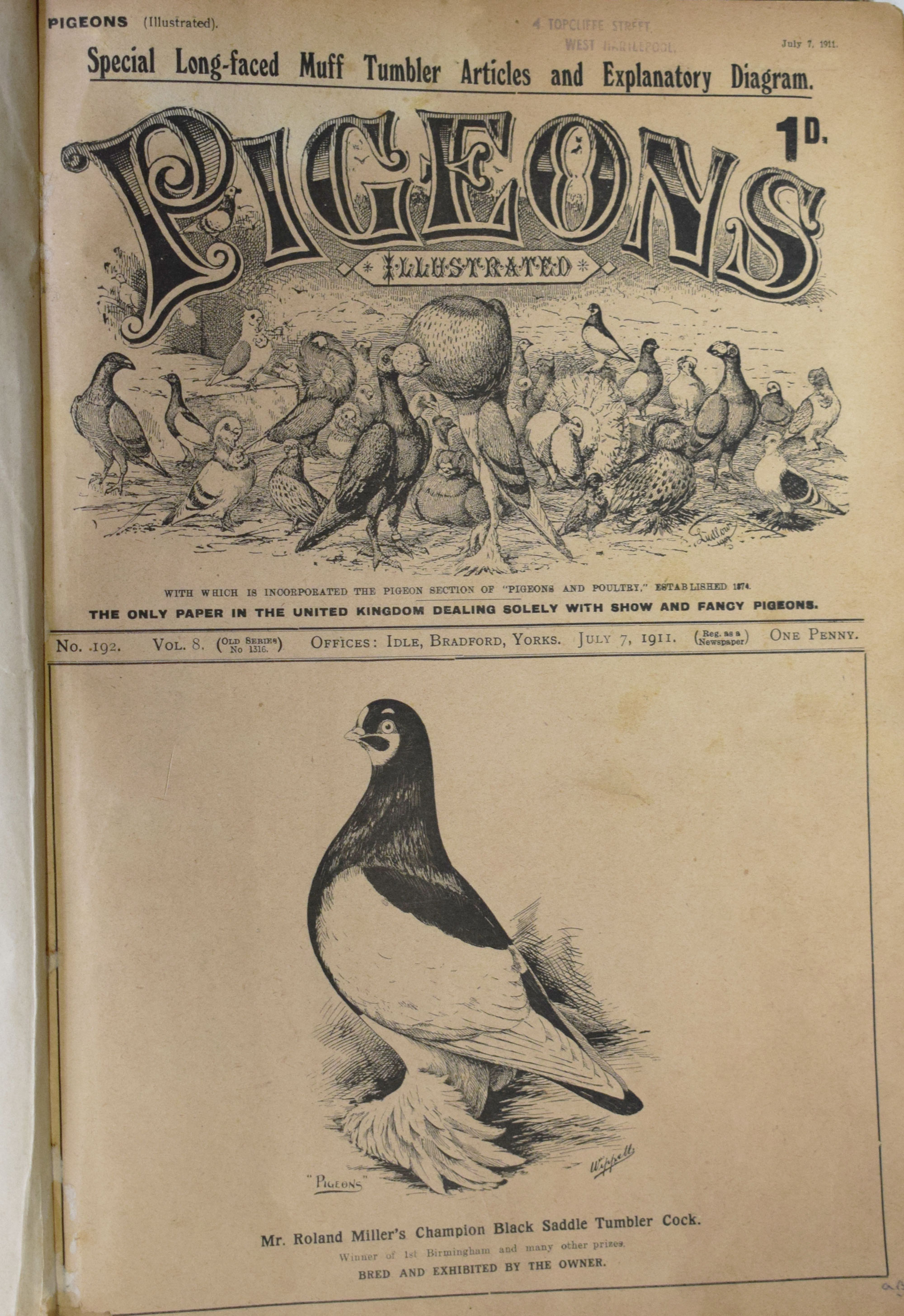 Pigeons Illustrated. Volume 8. July - December 1911.