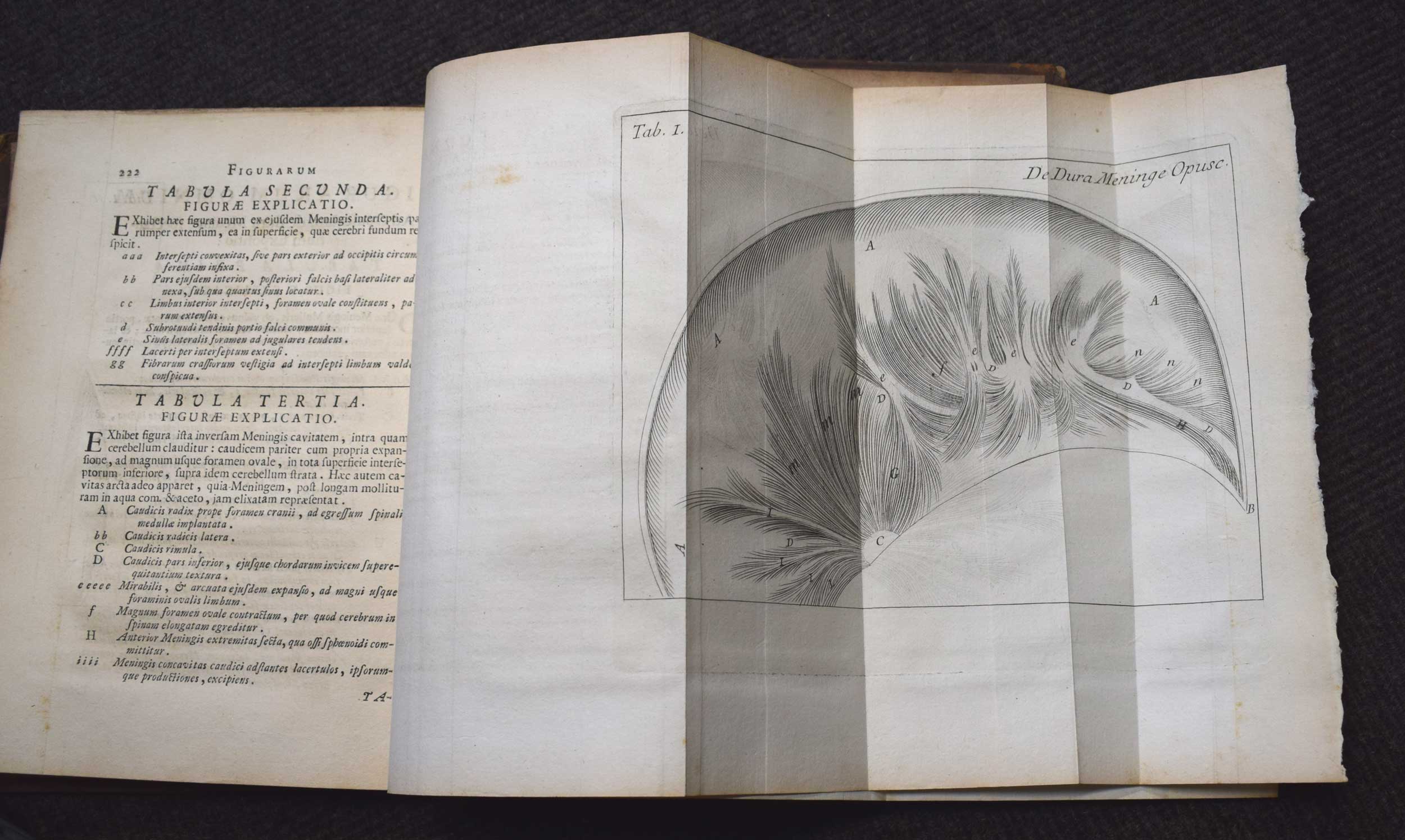 Regiensis Medici, & Anatomici Romani Opera [Physicians. The works of Roman Anatomists]