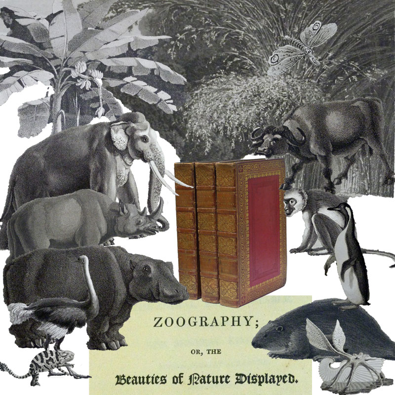 Zoography; Or the Beauties of Nature Displayed from the Animal and Vegetable [and] the Mineral Kingdom. Three volume set.
