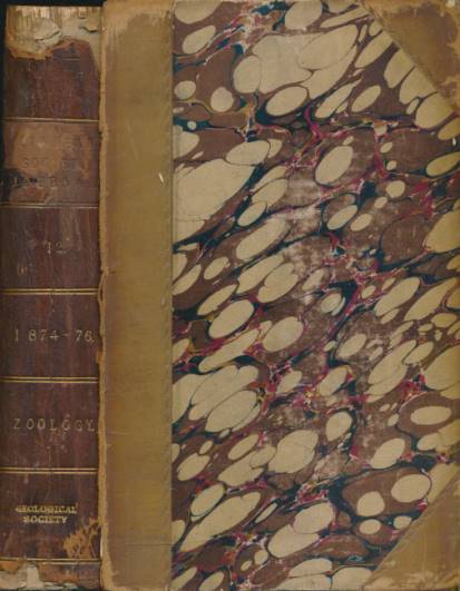 The Journal of the Linnean Society. [Zoology] Volume XII. February 1874 - September 1876.