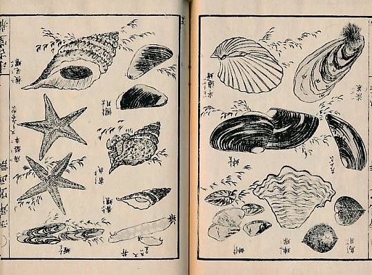 Japanese illustrated crpe book. Sea Life.