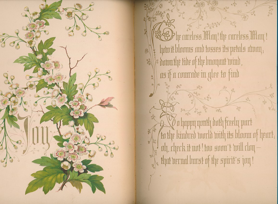 An Herbarium for the Fair Being a Book of Common Herbs with Etchings together with Curious Notes on their Histories for the Furtherance and Loveliness of Love. Signed limited edition.
