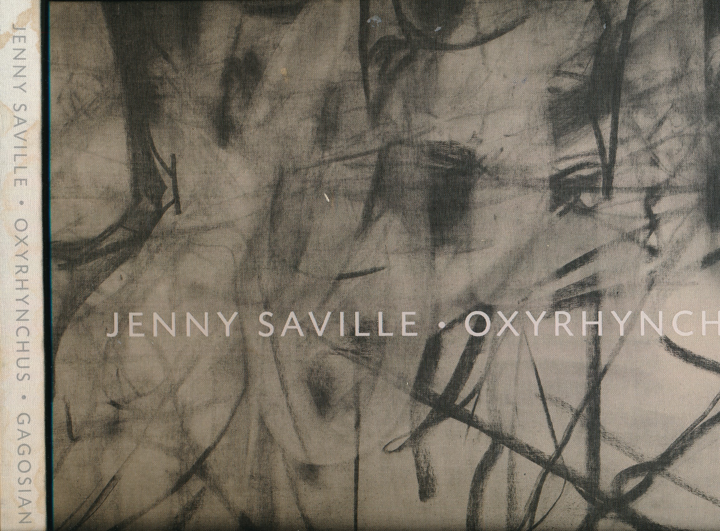 Jenny Saville Oxyrhynchus