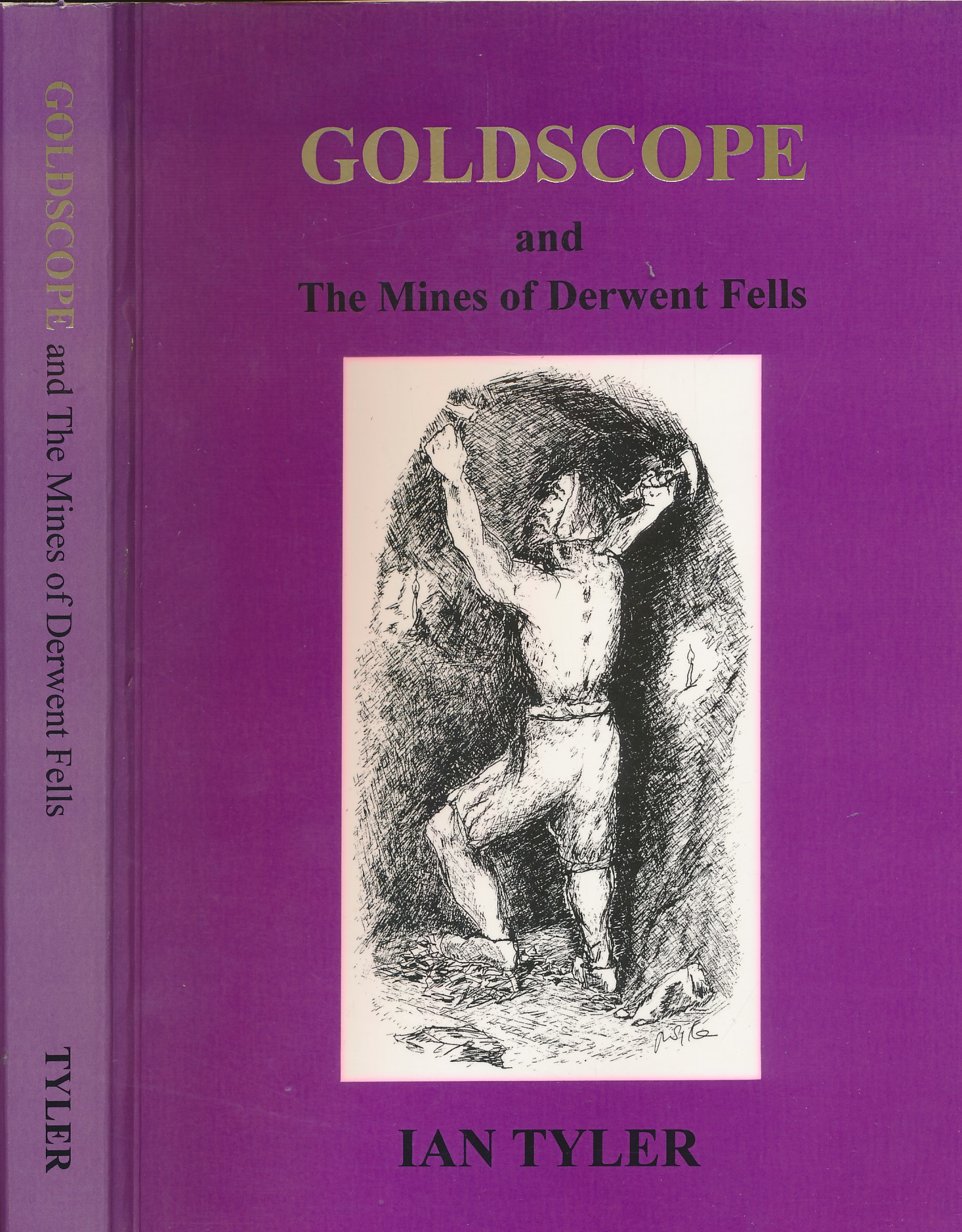 Goldscope and the Mines of Derwent Falls