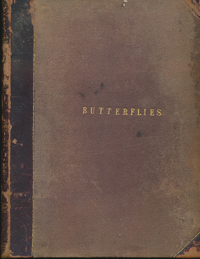 Cassell's Book of European Butterflies and Moths