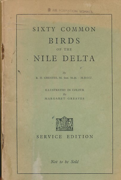 Sixty Common Birds of the Nile Delta