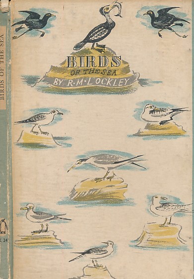Birds of the Sea. King Penguin No. 24.