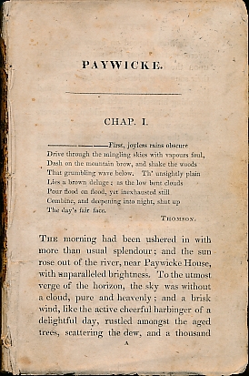 [PAYWICKE] - Paywicke, or the Begining of Hope