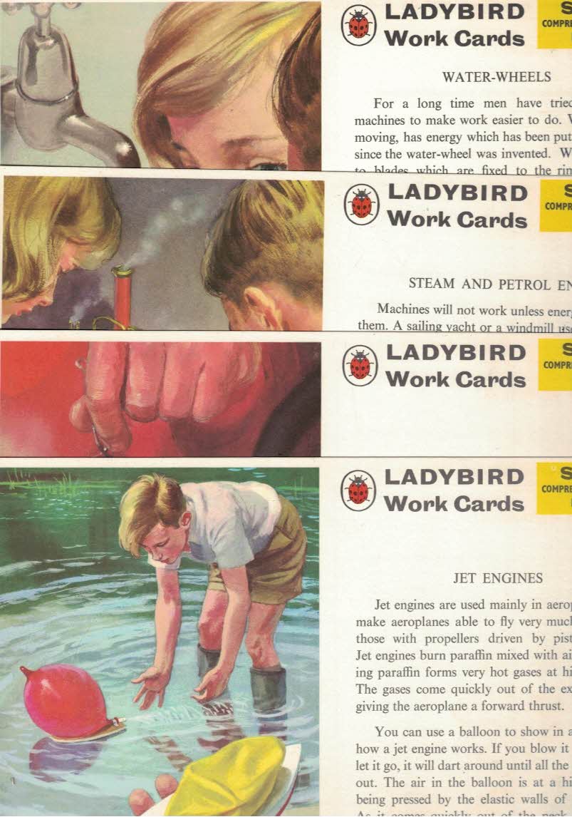 Ladybird Work Cards. Science.