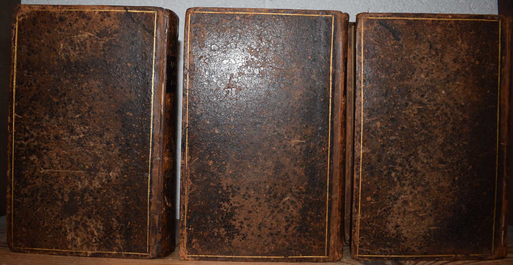The Life of Samuel Johnson. Three volume set. Associate copy. 1793. Dilly edition.