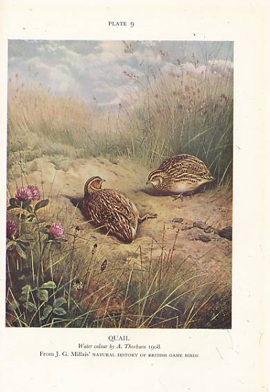 British Game. New Naturalist No 2. Bloomsbury edition.