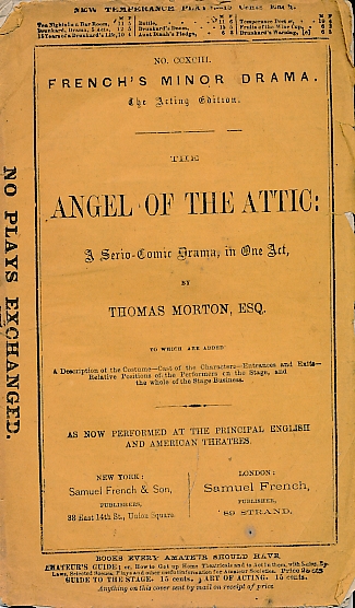 The Angel of the Attic