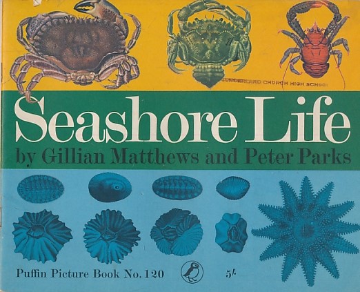 Seashore Life. Puffin Picture Book No. 120.