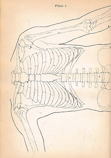 Anatomical Outlines for the Use of Students in the Dissecting Room and Surgical Class Room. Four Parts Bound in One Volume.
