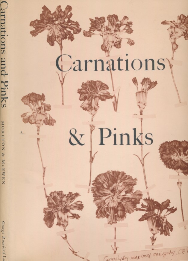 Old Carnations and Pinks. Signed Limited Edition.