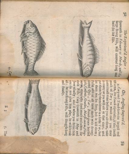 The Experienc'd Angler: or, Angling Improv'd. Being a General Discourse of Angling. Imparting the Aptest Wayes and Choicest Experiments for the Taking of Most Sorts of Fish in Pond or River. 1668.