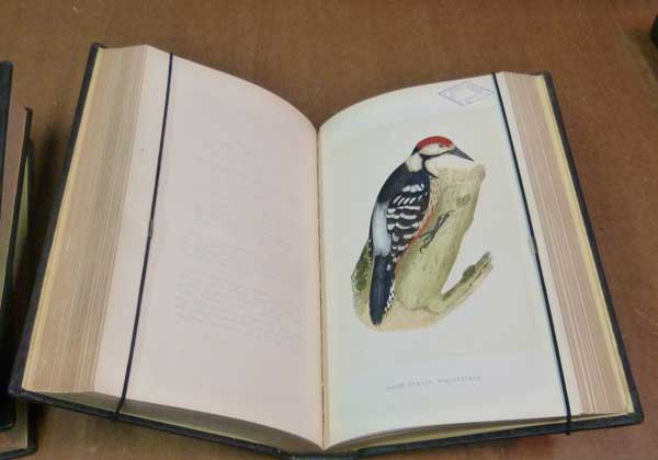 A History of the Birds of Europe Not Observed in the British Isles. 4 volume set.