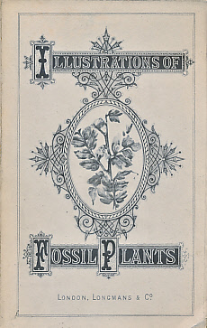 Illustrations of Fossil Plants. Being an Autotype Reproduction of Selected Drawings.